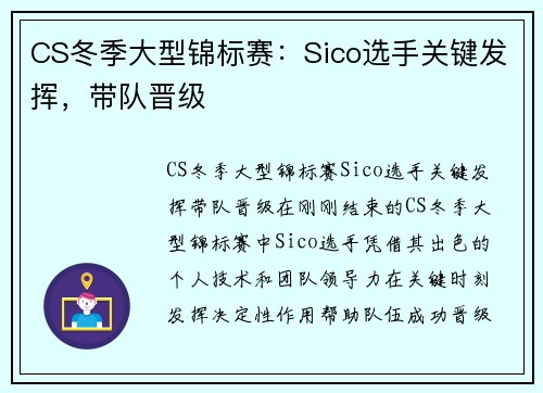CS冬季大型锦标赛：Sico选手关键发挥，带队晋级
